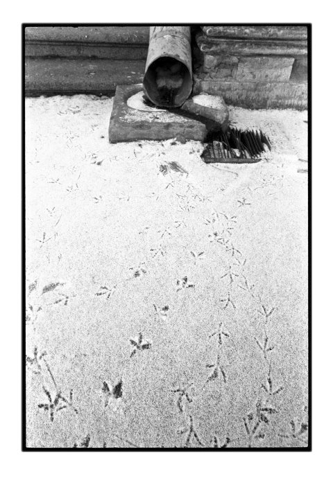 Footprints, Russia by Cambridge Jones