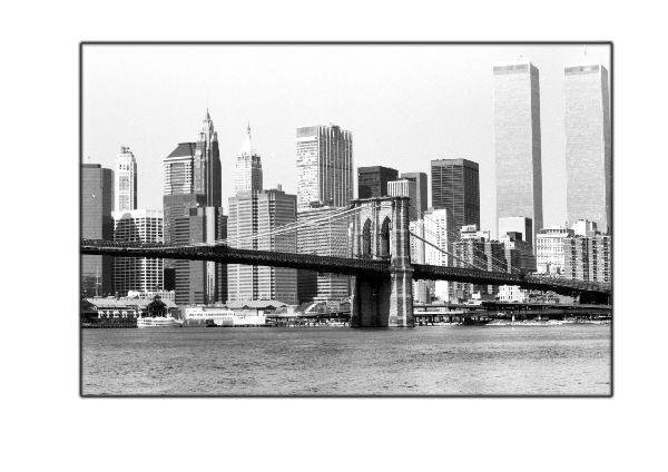 PRE 9-11 by Cambridge Jones